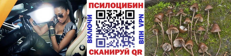 hydra ССЫЛКА  наркотики  Голицыно  Галлюциногенные грибы мицелий 