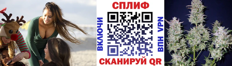 Каннабис MAZAR  Голицыно 